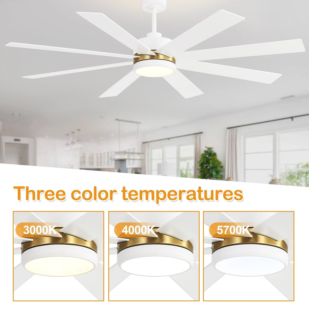 Ventilateur de plafond noir de 65 po à 8 pales avec lumière et télécommande