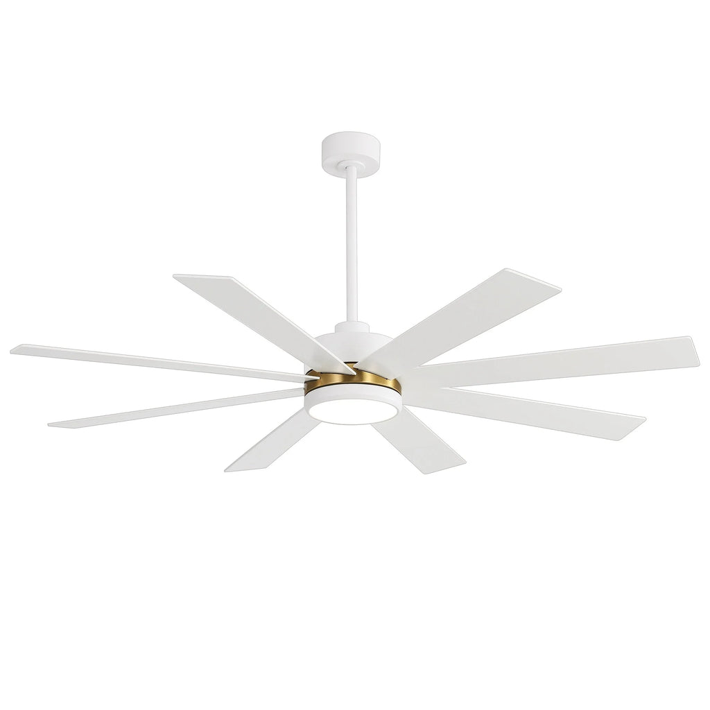Ventilateur de plafond noir de 65 po à 8 pales avec lumière et télécommande