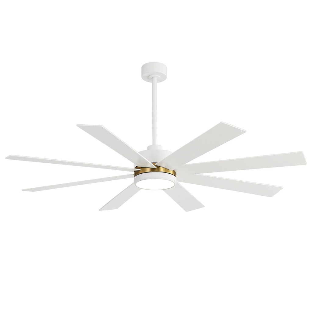 Ventilateur de plafond noir de 65 po à 8 pales avec lumière et télécommande