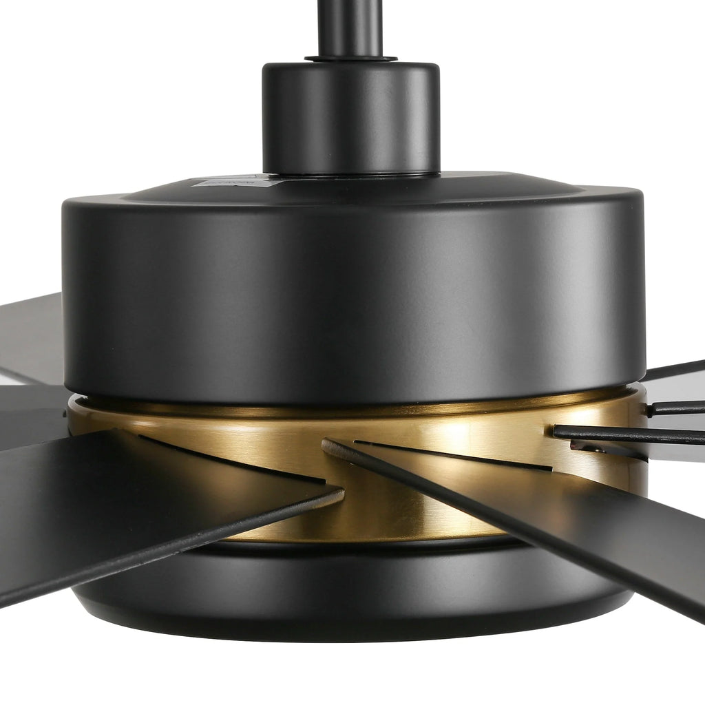 Ventilateur de plafond noir de 65 po à 8 pales avec lumière et télécommande